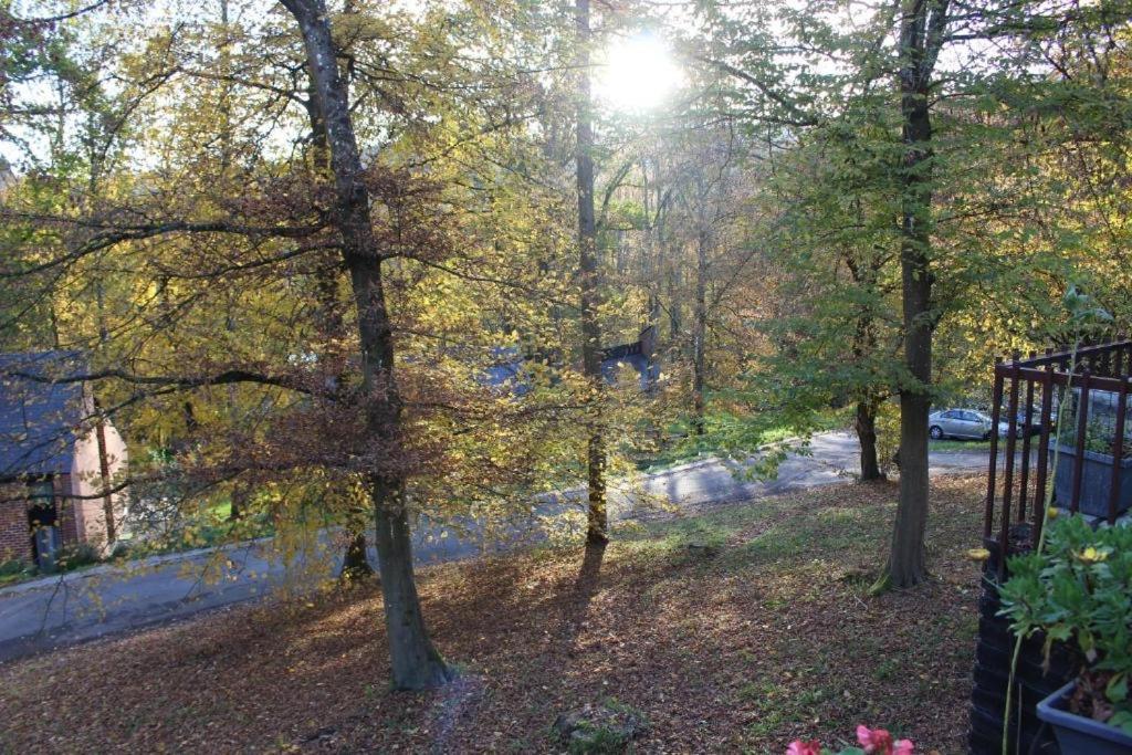 Gezellige Chalet Met Groot Zonneterras In Domaine Du Bonsoy - Vernieuwd In 2024 Blaimont Kültér fotó